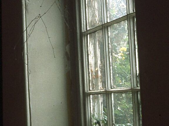 Somewhere in Particular Undoing Good, Susan Fitch