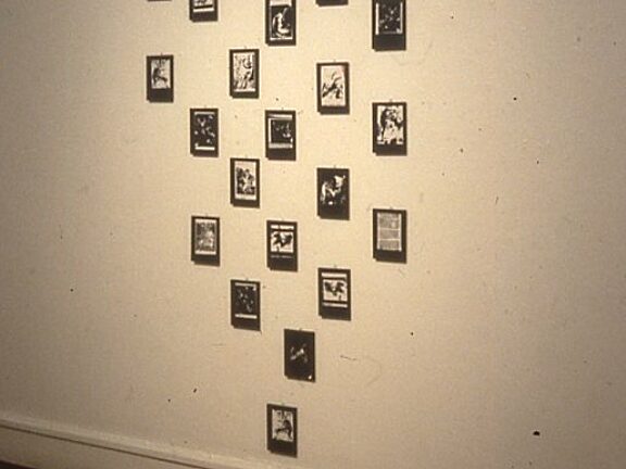 Somewhere in Particular, Suzanne Williams