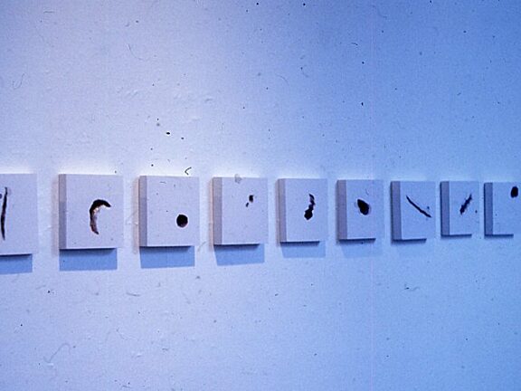 Somewhere in Particular, Suzanne Williams