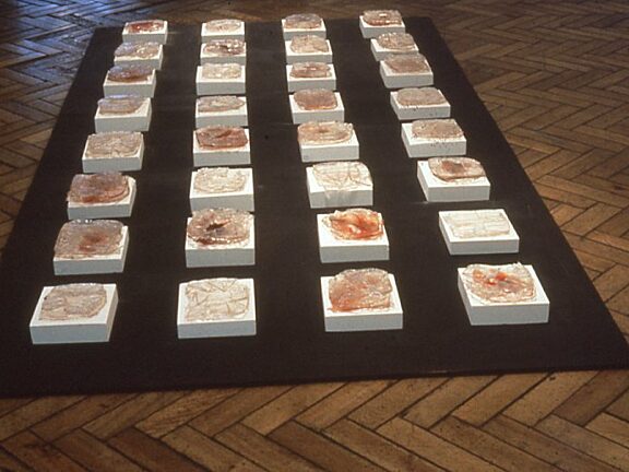 Somewhere in Particular, Suzanne Williams