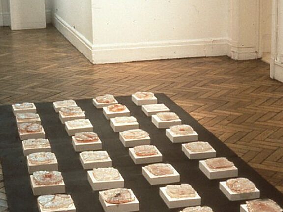 Somewhere in Particular, Suzanne Williams