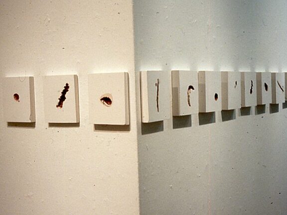 Somewhere in Particular, Suzanne Williams