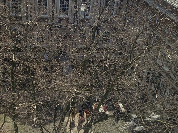 Arial View of Bluecoat