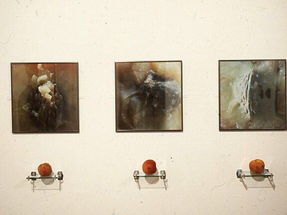 House Painters exhibition with work by Alison Jones