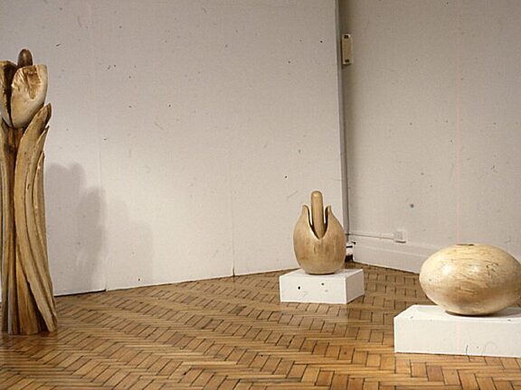 Juginder Lamba, From The Wood exhibition