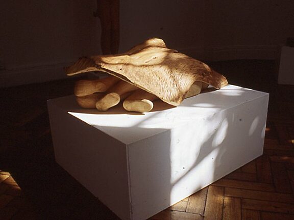 Juginder Lamba, From The Wood exhibition