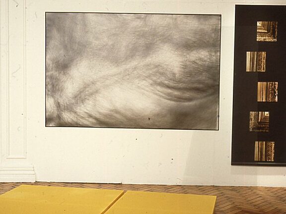 Lesley Sanderson, These Colours Run exhibition