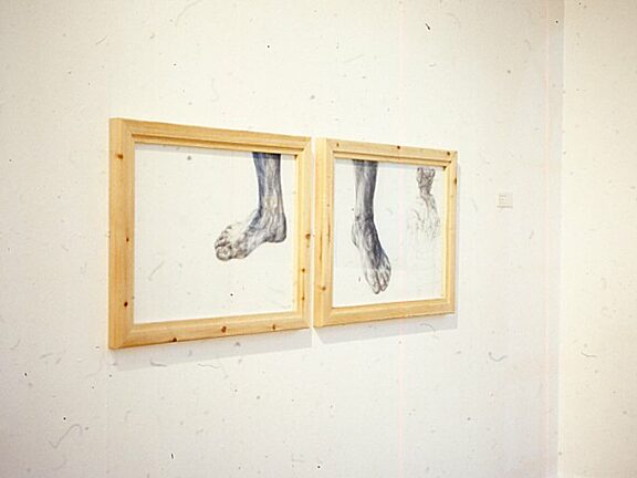 Lesley Sanderson, These Colours Run exhibition