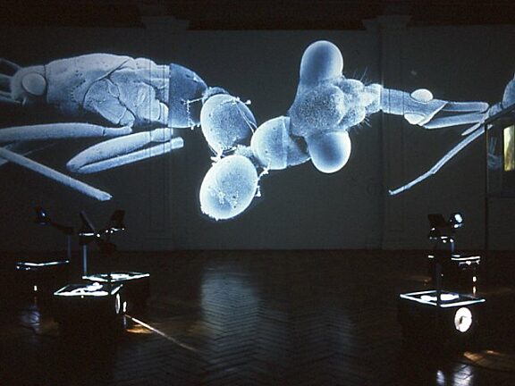 Science Friction: Art from Cologne exhibition, with work by Harald Fuchs