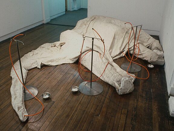 Trace,Liverpool Biennial