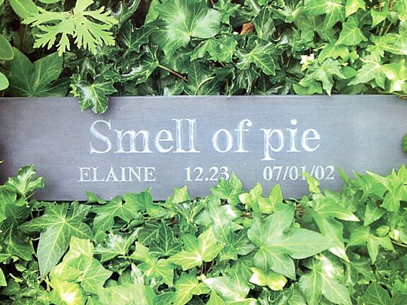 Now Then with Leo Fitzmaurice and Arts For All.