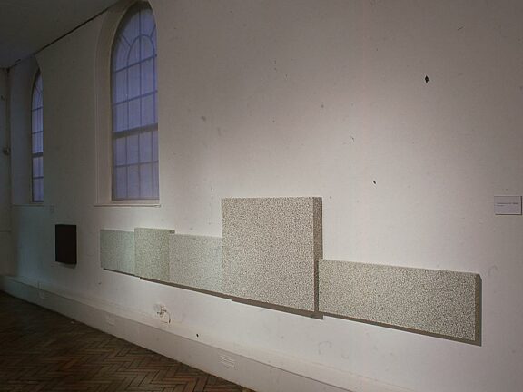 Millions of Dead Tamagotchi, Padraig Timoney