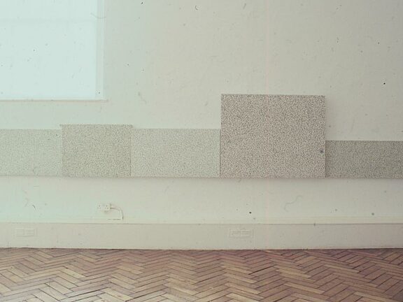 Millions of Dead Tamagotchi, Padraig Timoney