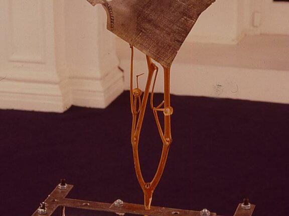 Millions of Dead Tamagotchi, Padraig Timoney