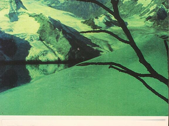 Poster for From A Distance exhibition