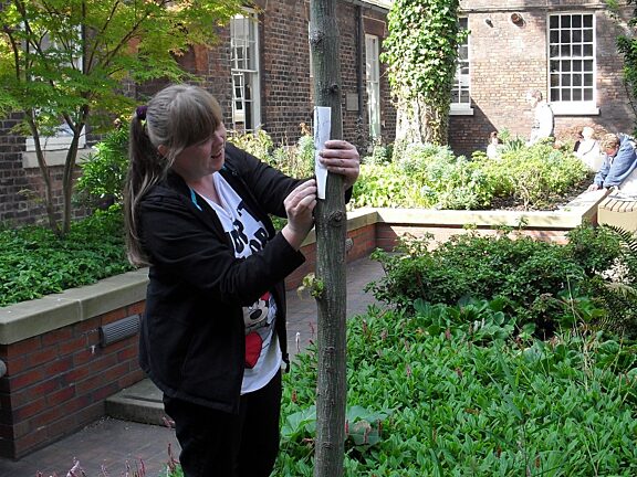 Blue Room artists explore Arabicity: Such a Near East