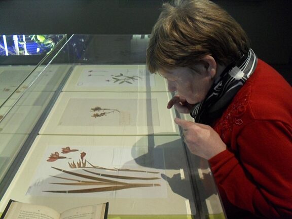 Blue Room explore the work of Jyll Bradley