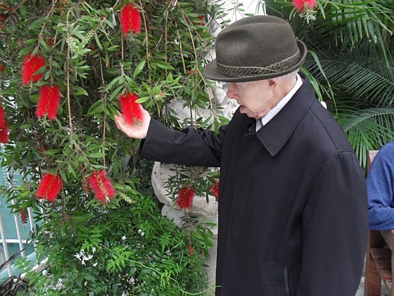 Blue Room explore the work of Jyll Bradley