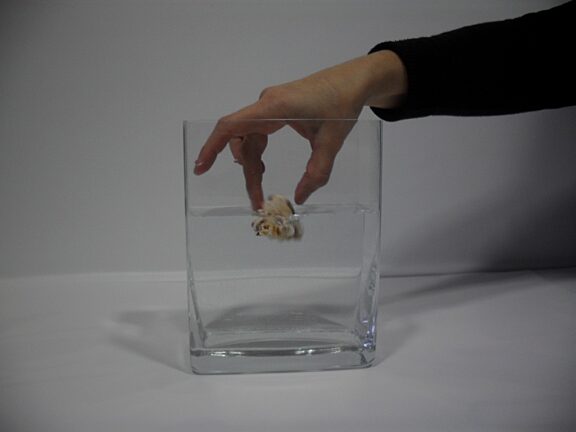 Blue Room artists explore Underwater