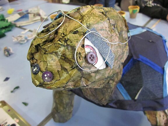 Blue Room artists explore Galapagos at Bluecoat