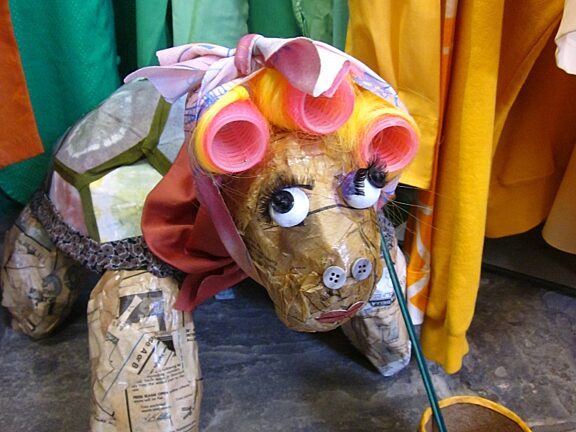 Blue Room artists explore Galapagos at Bluecoat