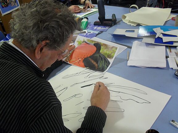 Blue Room artists explore Galapagos at Bluecoat