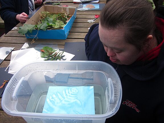 Blue Room artists explore Soft Estate