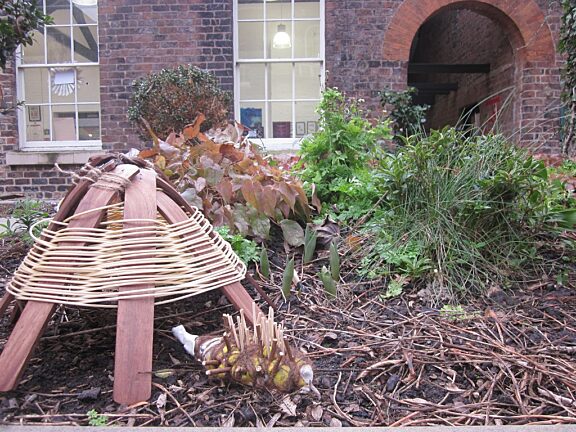 Blue Room artists explore Soft Estate