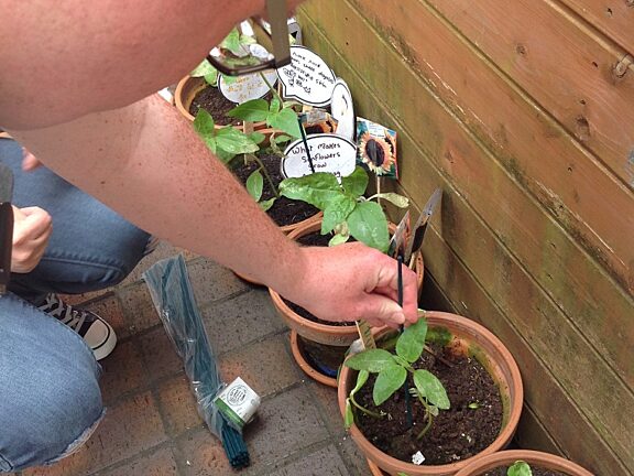 Blue Room explore Double Act