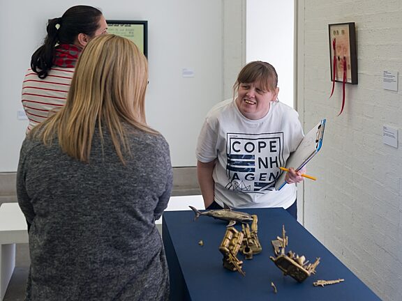 Blue Room explore Public View at Bluecoat