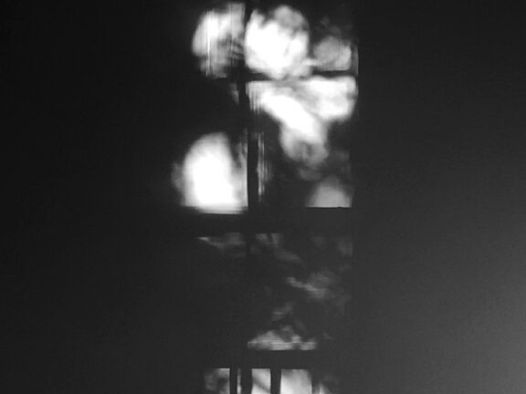 2019 Emily Motto - Artist in Residence