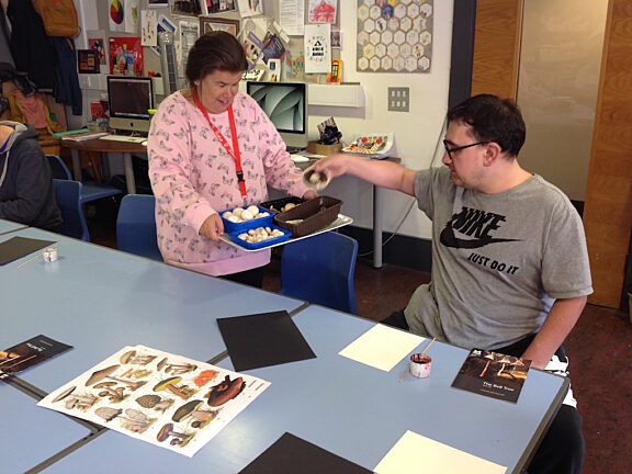 Blue Room explore The Bell Tree by Serena Korda