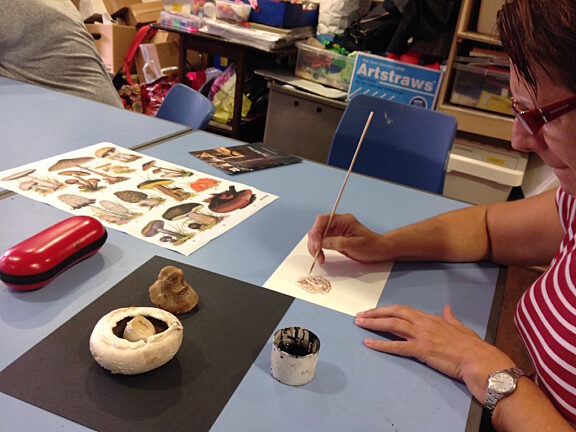 Blue Room explore The Bell Tree by Serena Korda