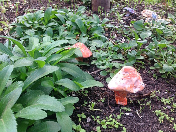 Blue Room explore The Bell Tree by Serena Korda