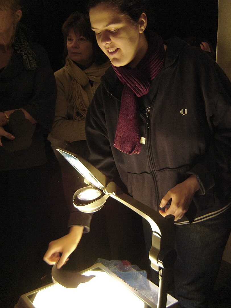 The development of the Blue Room project