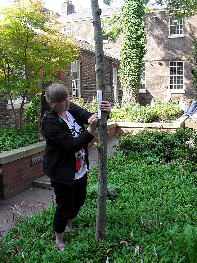 Blue Room artists explore Arabicity: Such a Near East