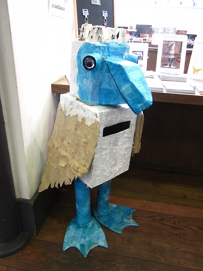 Blue Room artists explore Galapagos at Bluecoat