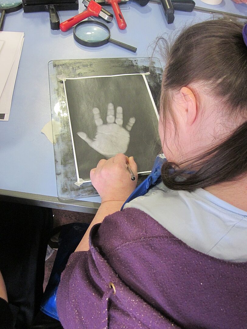Blue Room artists explore the Negligent Eye exhibition