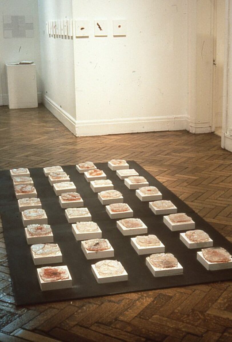 Somewhere in Particular, Suzanne Williams