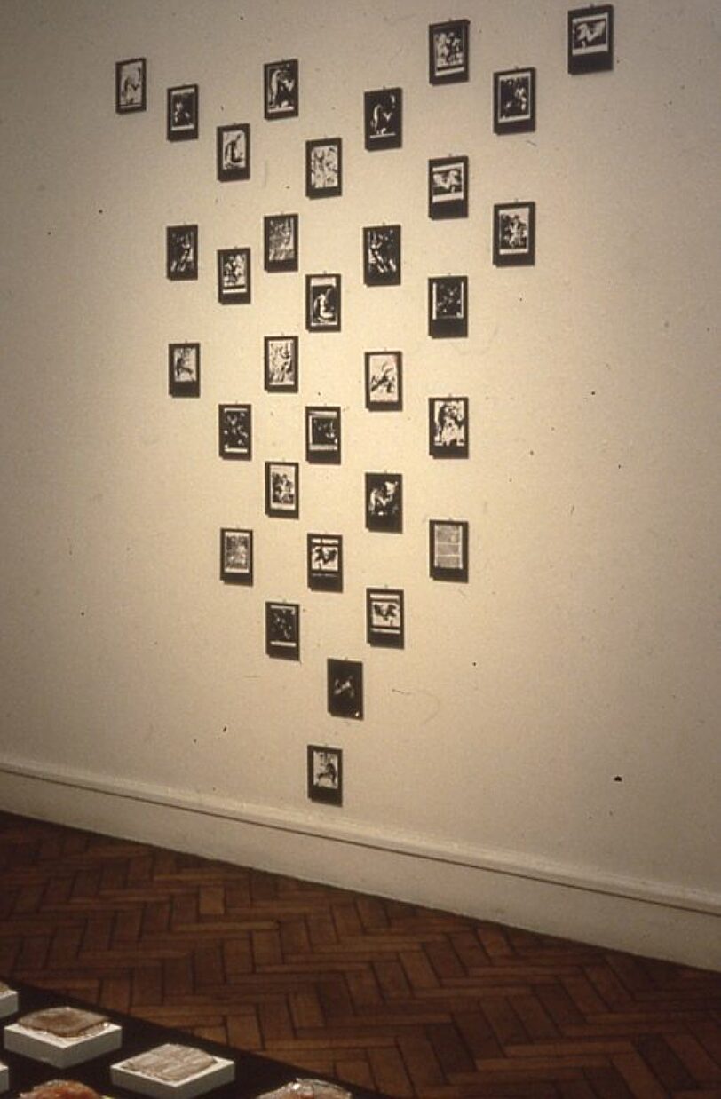 Somewhere in Particular, Suzanne Williams