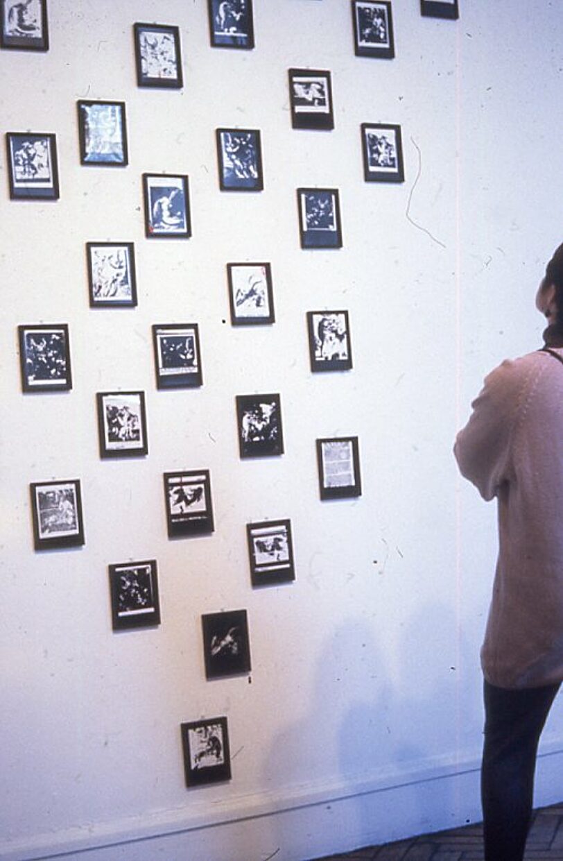 Somewhere in Particular, Suzanne Williams