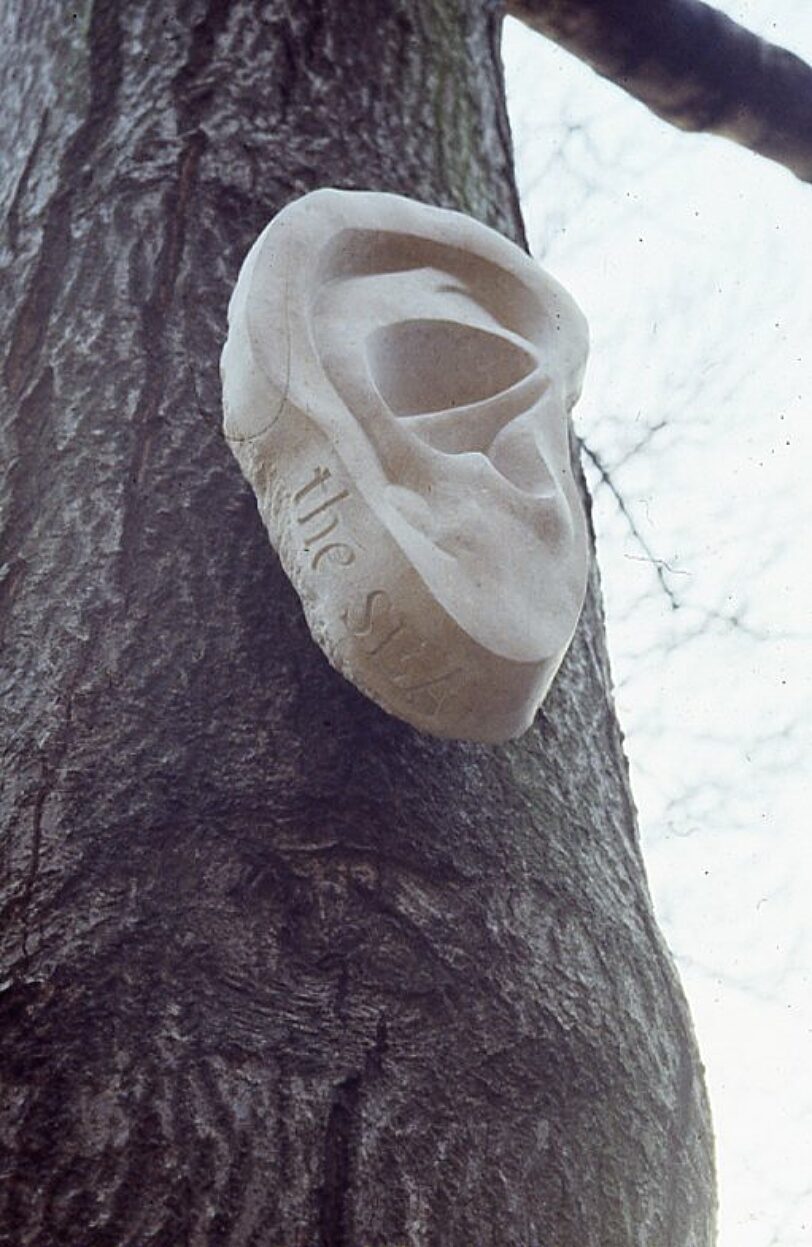 Like a Slackened Drum sculpture in Bluecoat garden, Nigel Prince