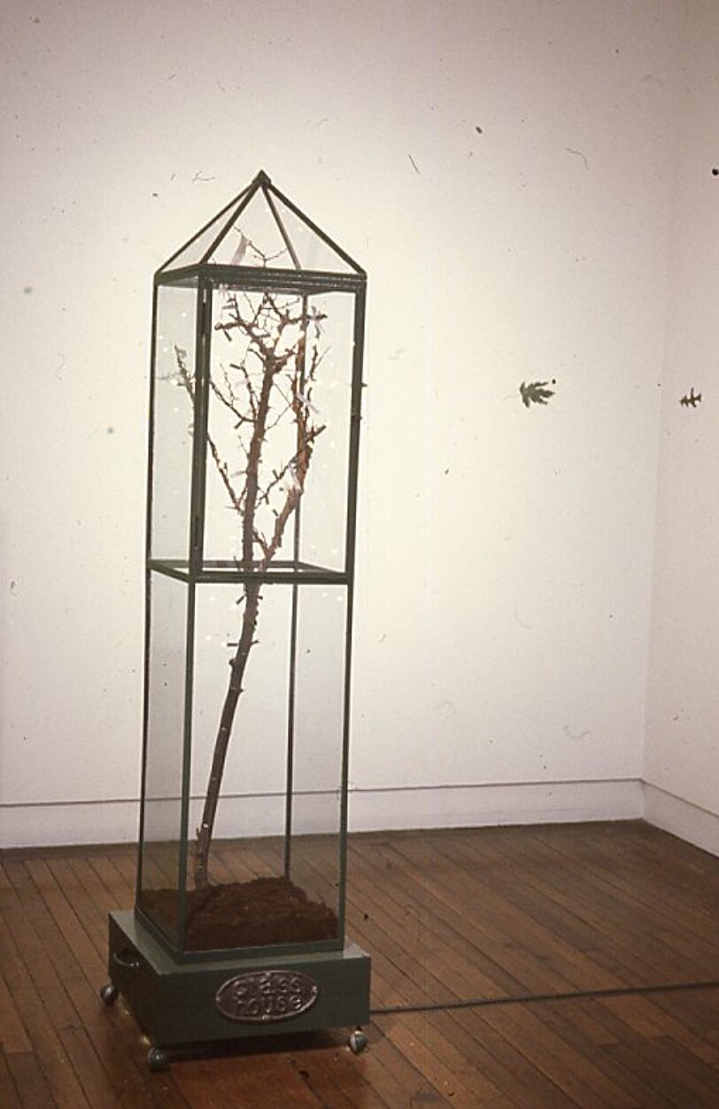 New Sculpture, Louise Scullion
