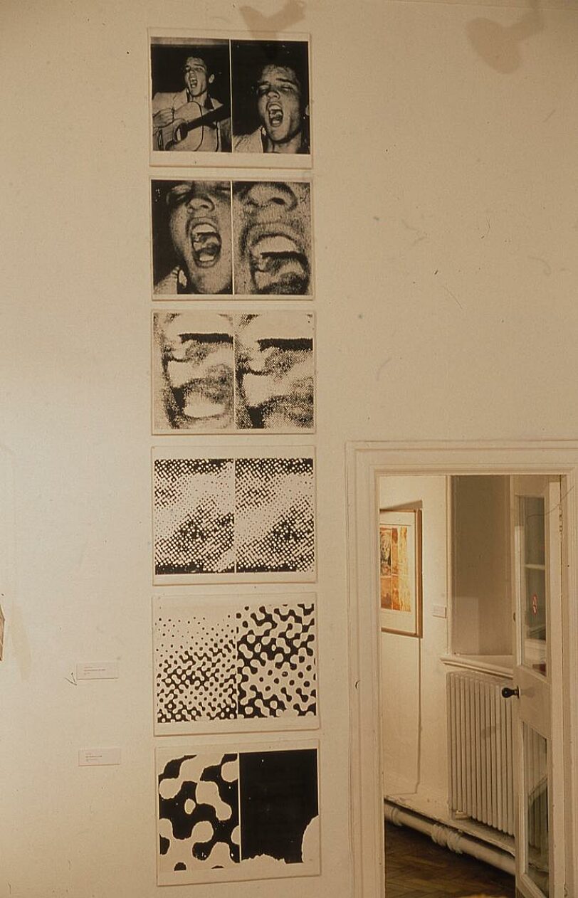 Elvis Swastika work included in Glitter exhibition