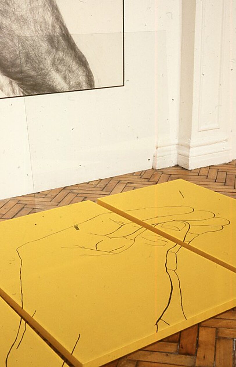 Lesley Sanderson, These Colours Run exhibition