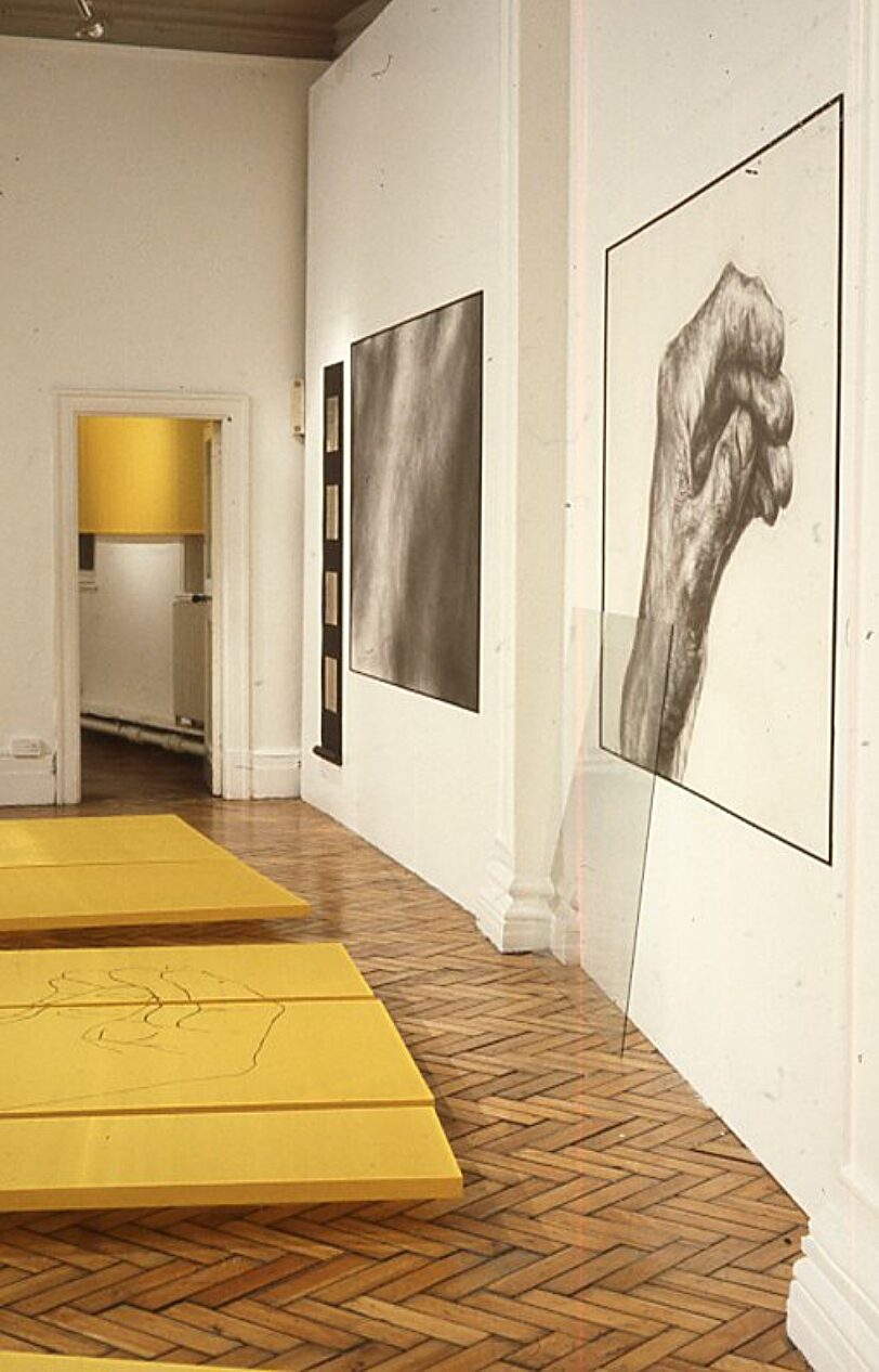 Lesley Sanderson, These Colours Run exhibition