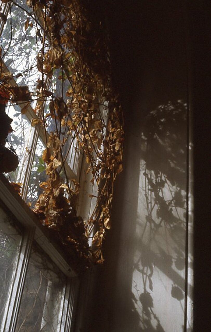 Somewhere in Particular Undoing Good, Susan Fitch