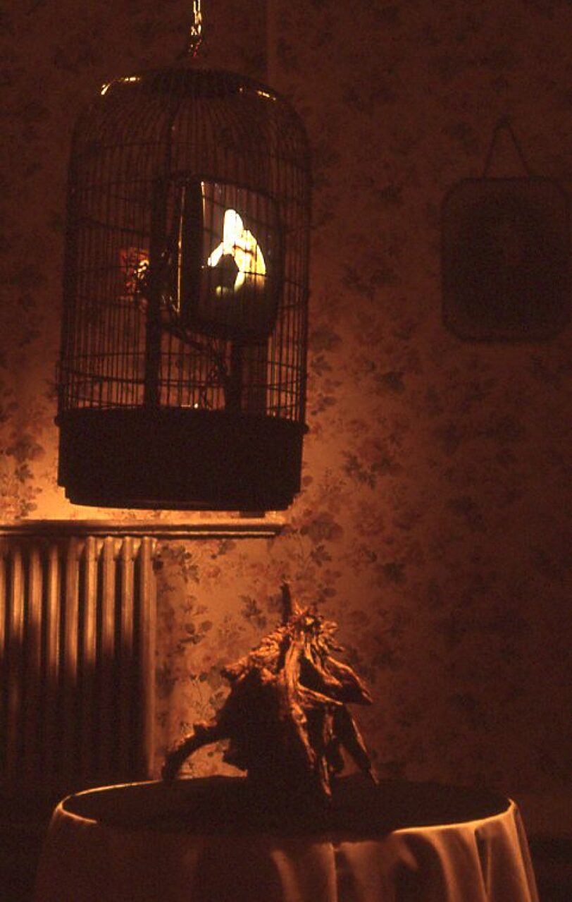 Video Positive, Cathy Vogan