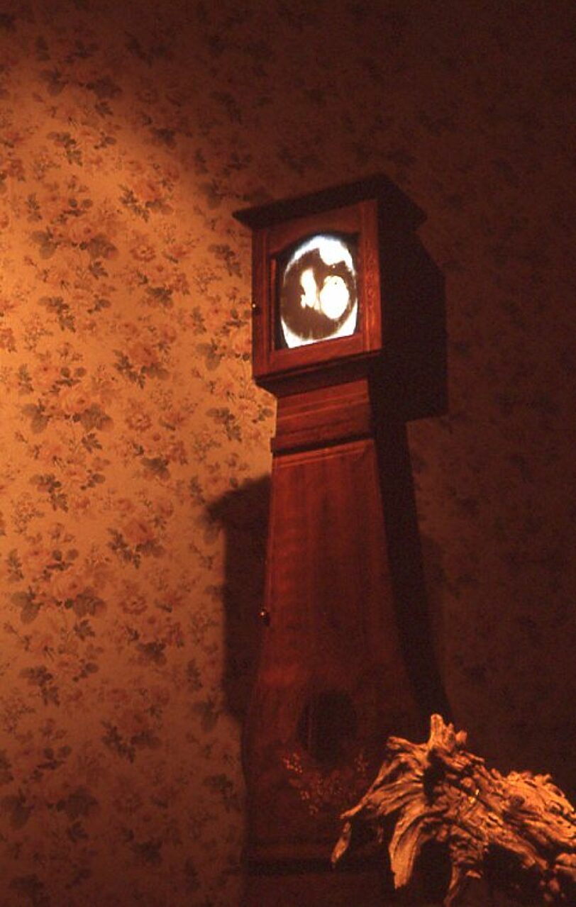 Video Positive, Cathy Vogan