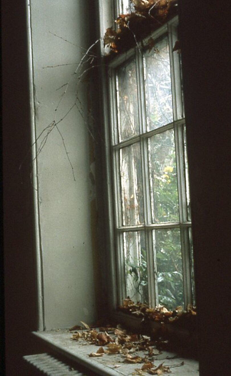 Somewhere in Particular Undoing Good, Susan Fitch